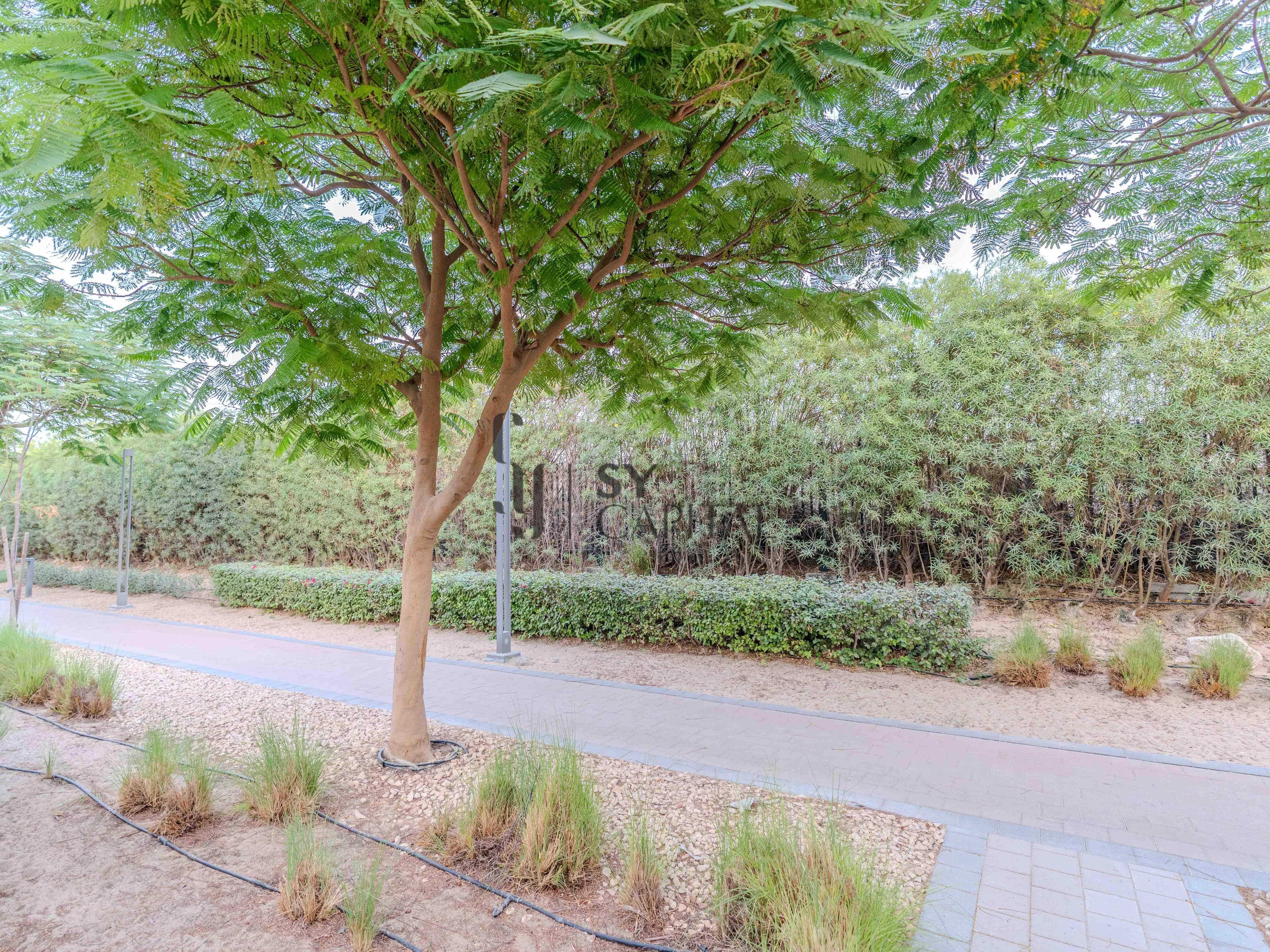 3BR Plus Maid | Single Row | Fully Furnished