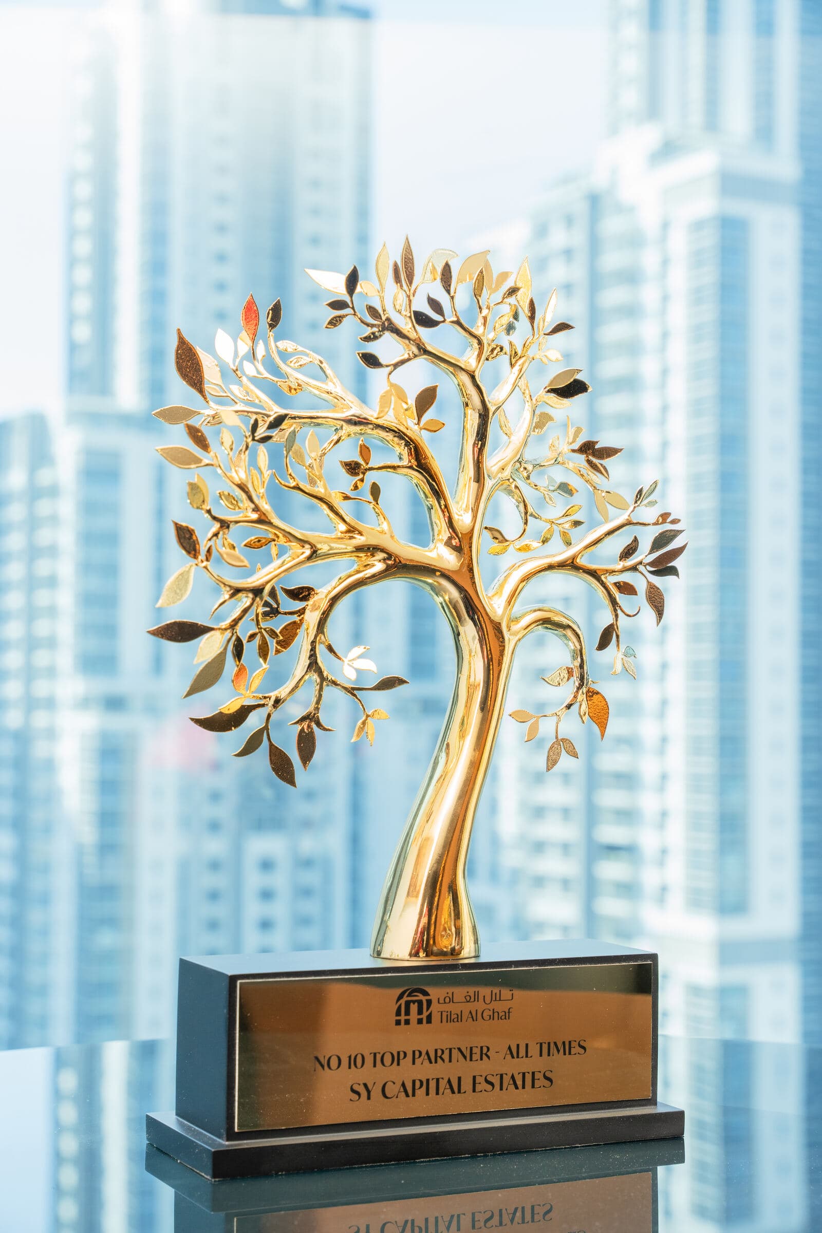 The Tilal Al Ghaf No. 10 Top Partner — All Times trophy awarded to SY Capital Estates